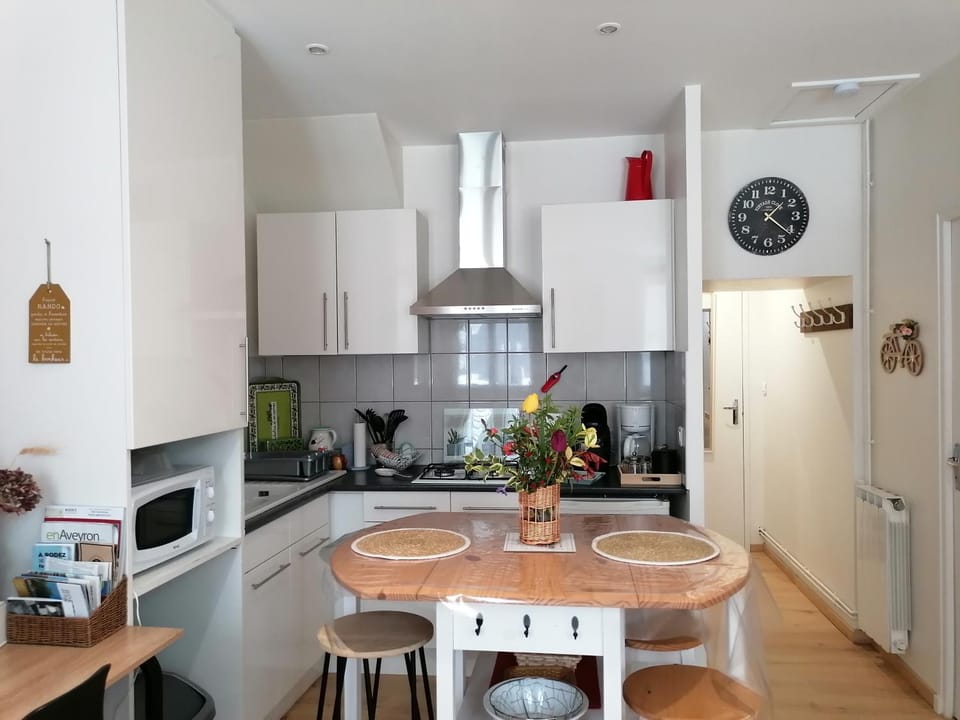 STUDIO Rénové 25 m2 Centre Historique Apartment in Occitanie