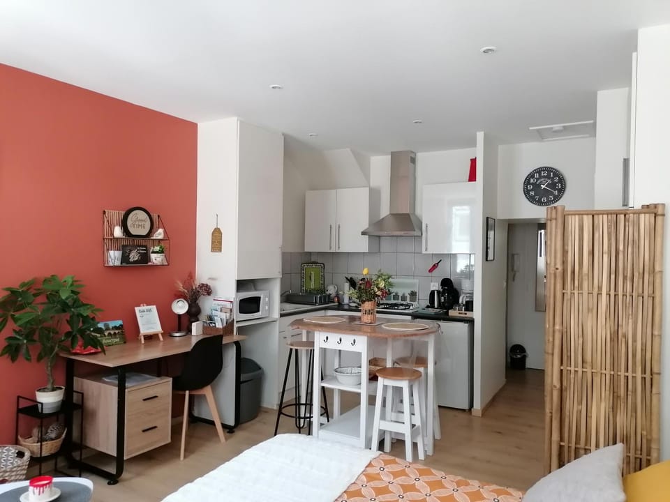 STUDIO Rénové 25 m2 Centre Historique Apartment in Occitanie