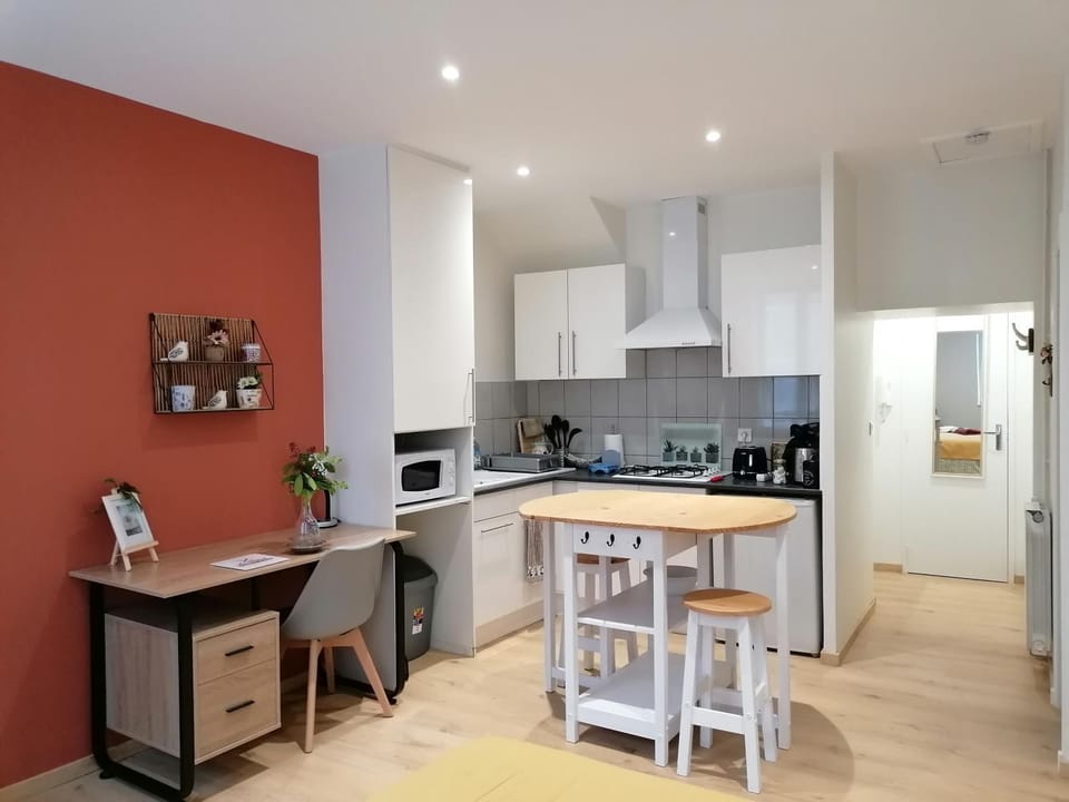 STUDIO Rénové 25 m2 Centre Historique Apartment in Occitanie