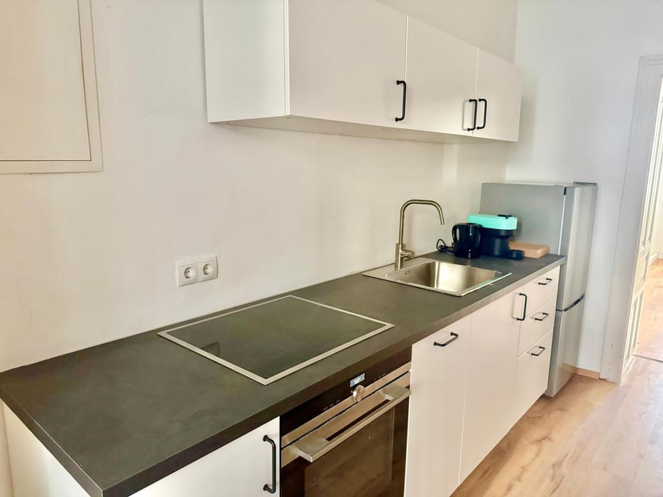 100 m2 Central Apartment with 4 Rooms Apartment in Vienna