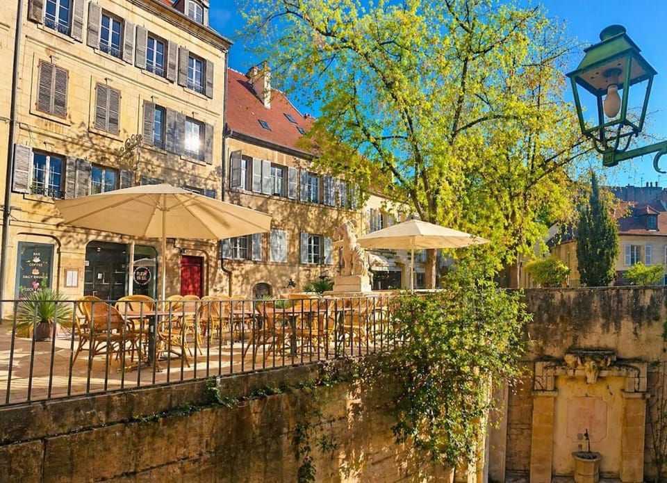 Le Pissenlit de la Place aux Fleurs Apartment in Dole