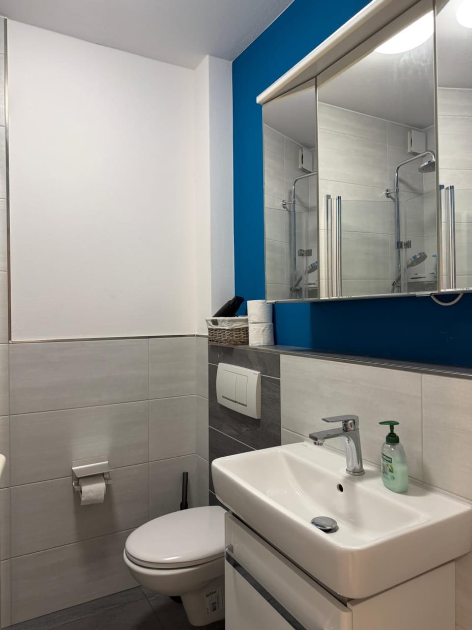Toilet, Bathroom