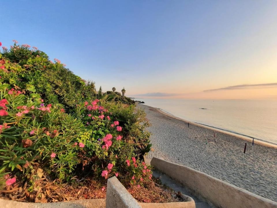150m de la plage appartement charmant pour 2 4 ou 5 personnes Apartment in Linguizzetta