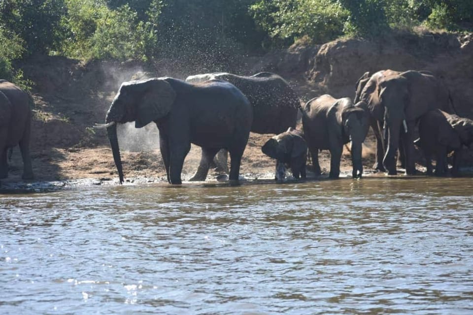 Bush River Safaris, Lower Zambezi, B&B, Tiger Fishing, Canoeing Apartment in Lusaka Province, Zambia