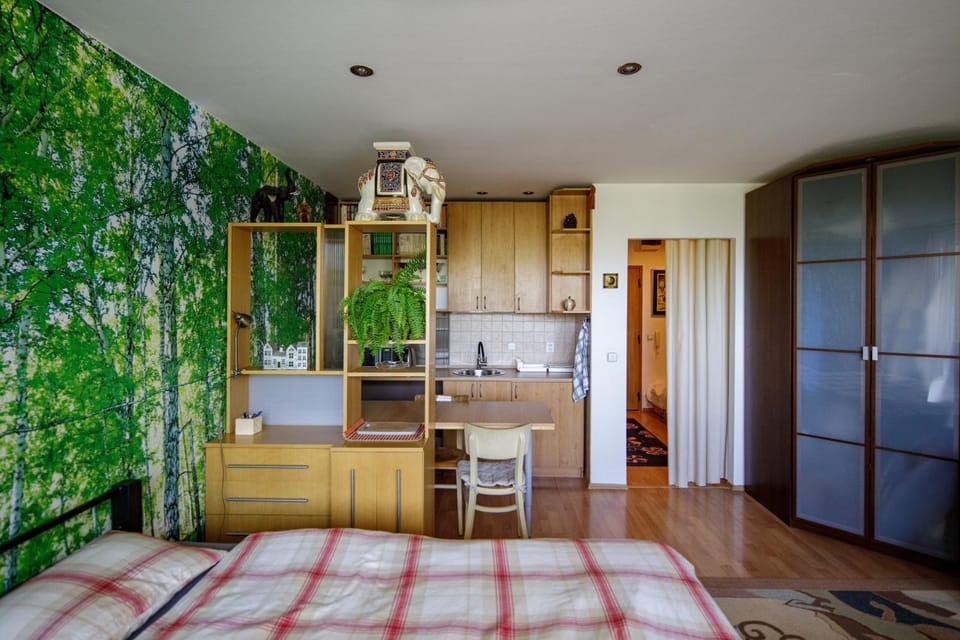 Apartmán Brezy Apartment in Slovakia