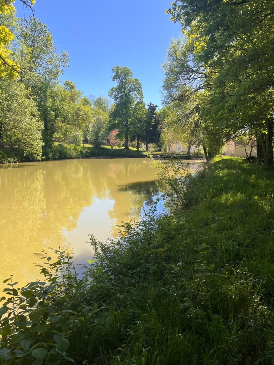 Lake view