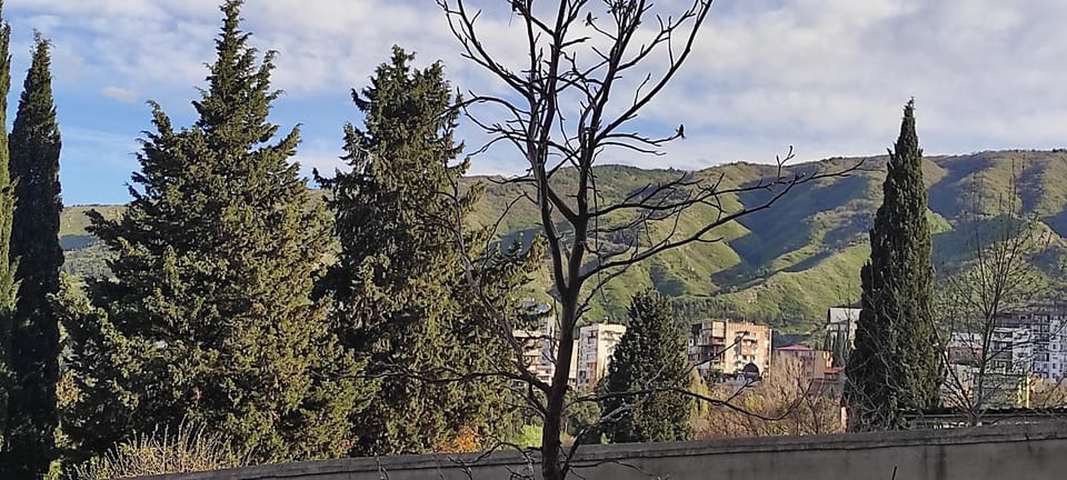 Spring, Day, Natural landscape, Mountain view