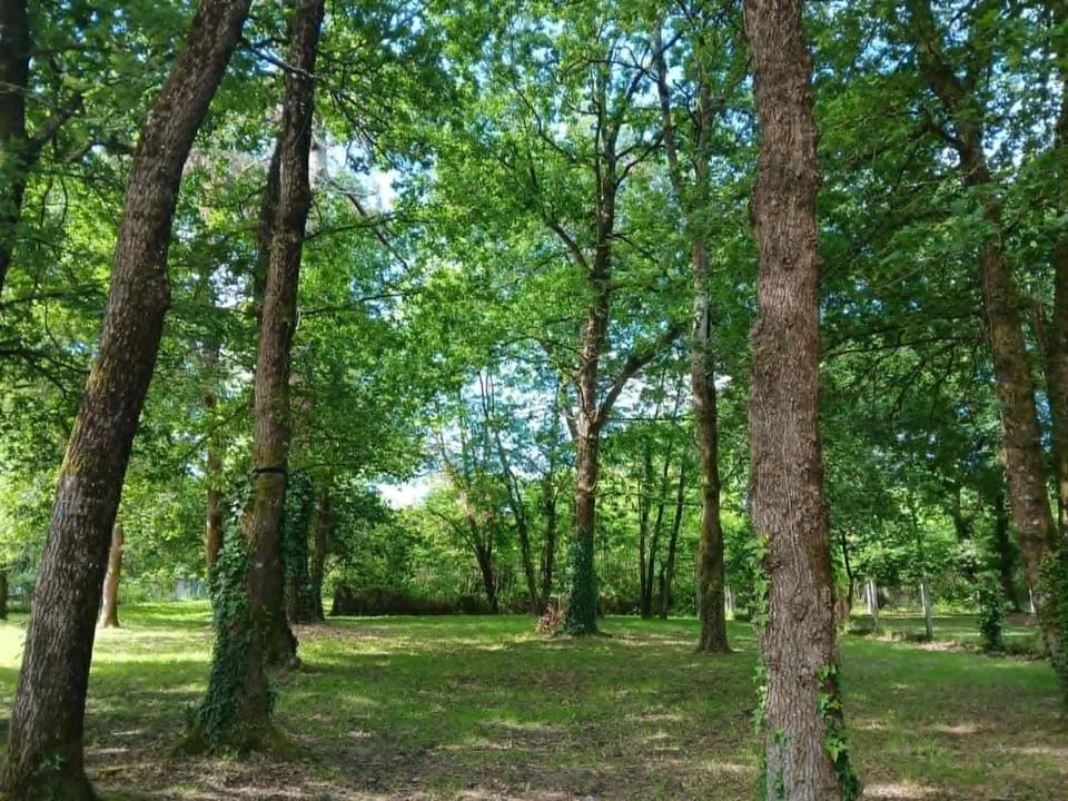 Natural landscape, Garden, Garden view