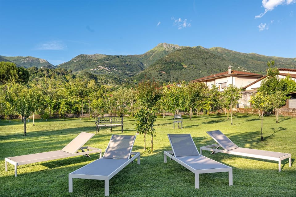 Garden, Swimming pool, sunbed