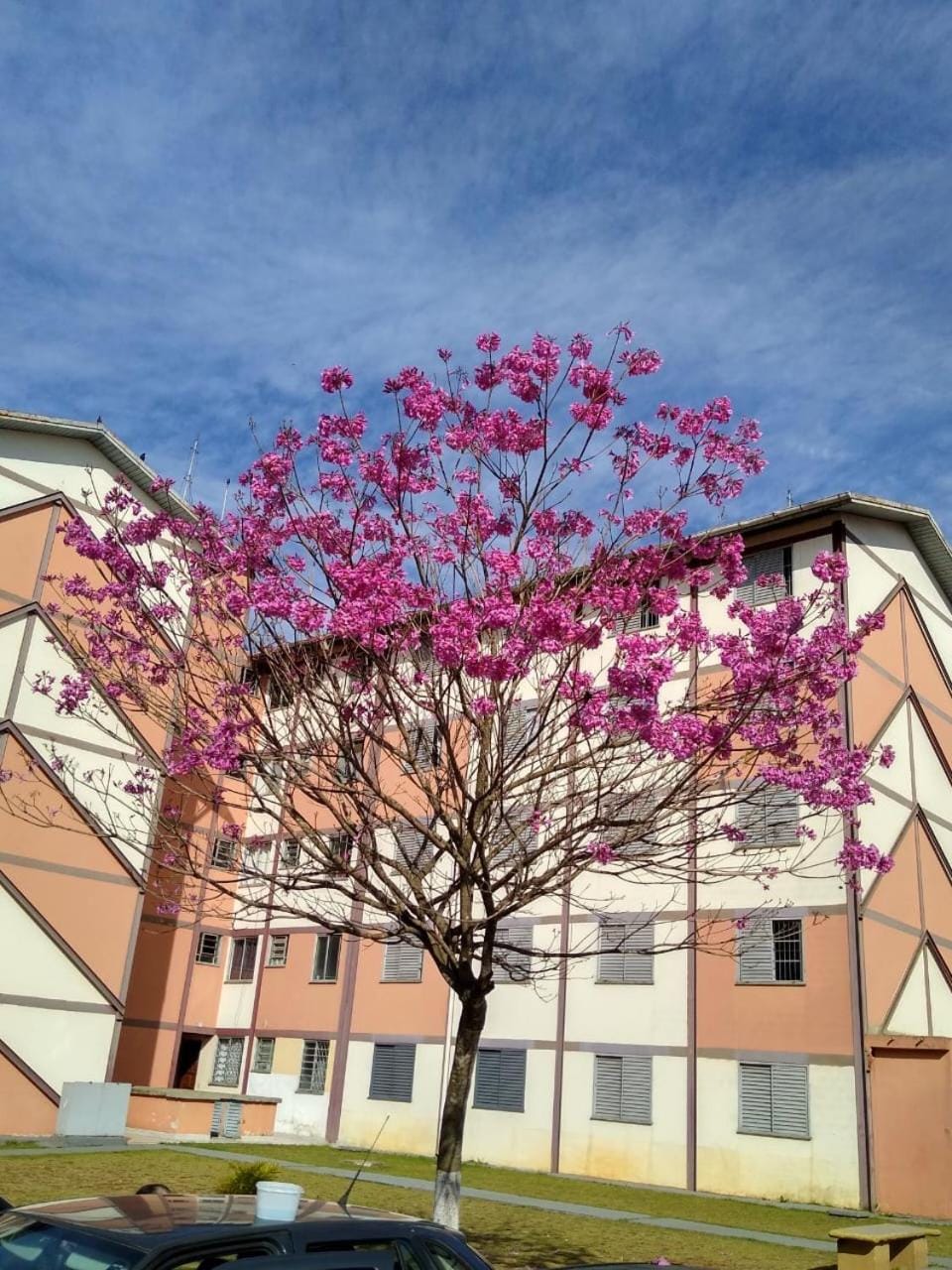 Apartamento Confortável em Itaquaquecetuba Apartment in Suzano