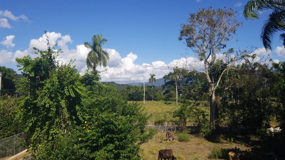 Natural landscape
