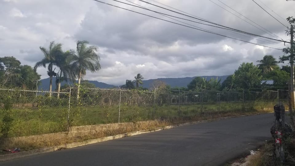 Natural landscape