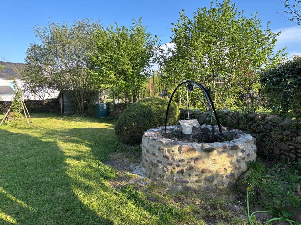 Natural landscape, Garden, Garden view