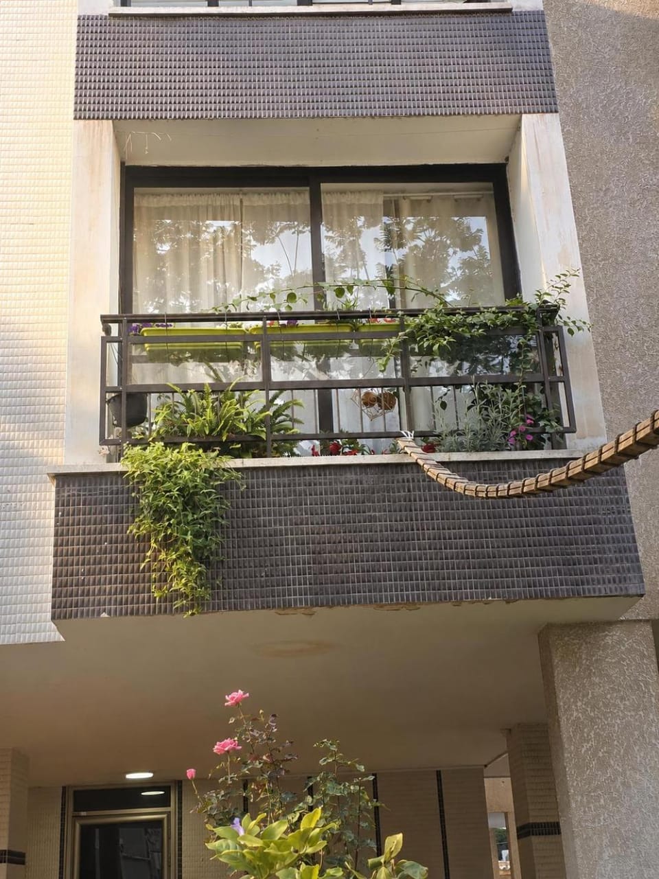 Property building, Facade/entrance