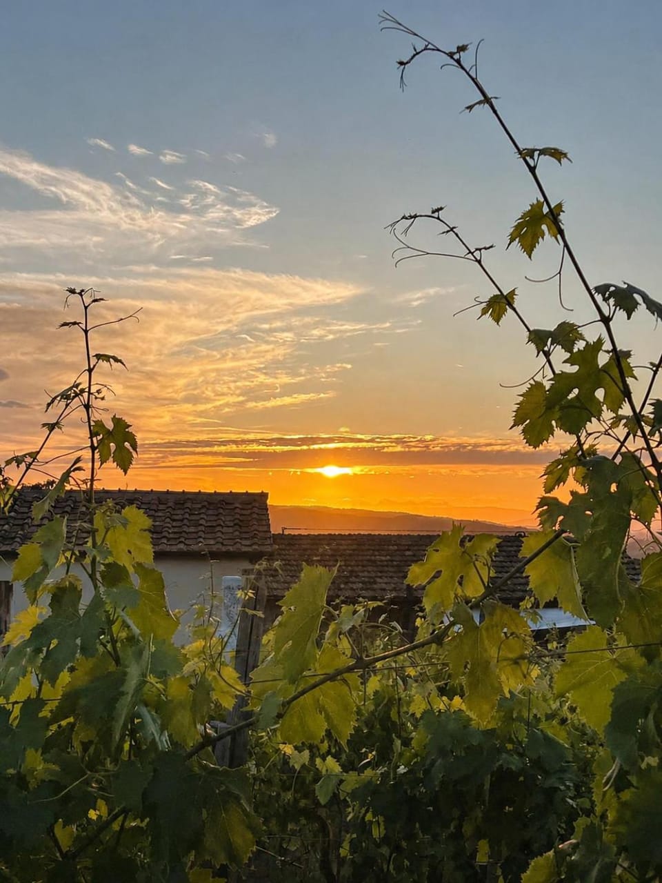 Casa Serena Apartment in Greve in Chianti