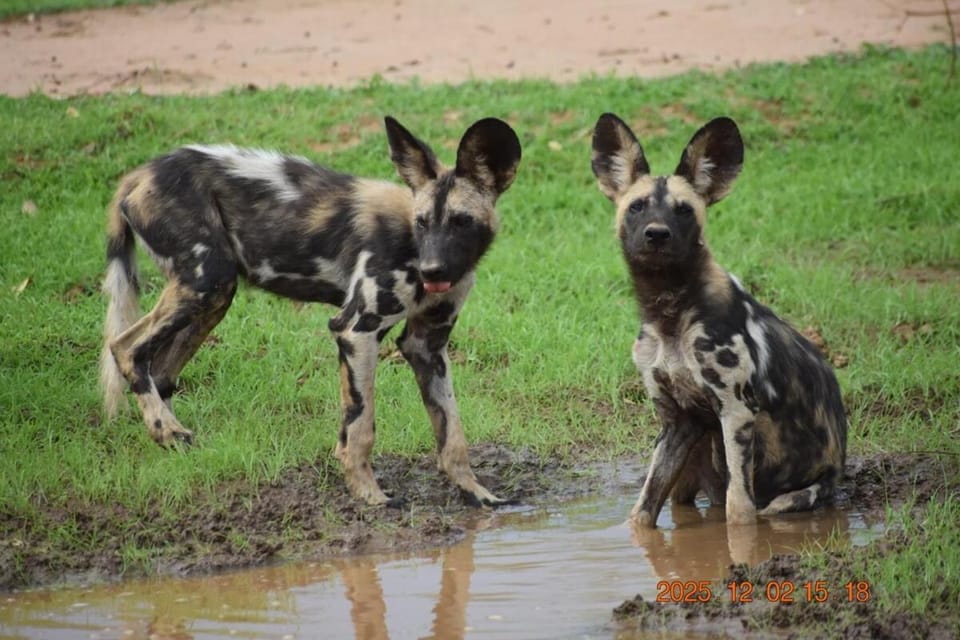 Bush River Safaris, Boat Cruise Fishing, Game Drives & Canoeing 2 Apartment in Lusaka Province, Zambia