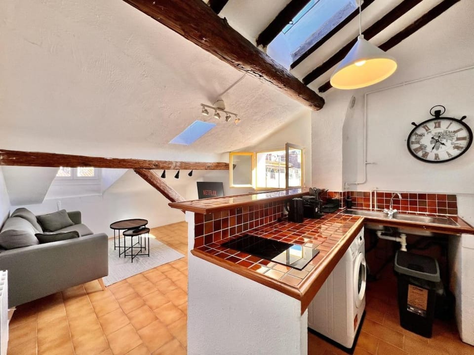 Old Town Rossetti Gem, Rooftop ,Waterfall view Apartment in Nice