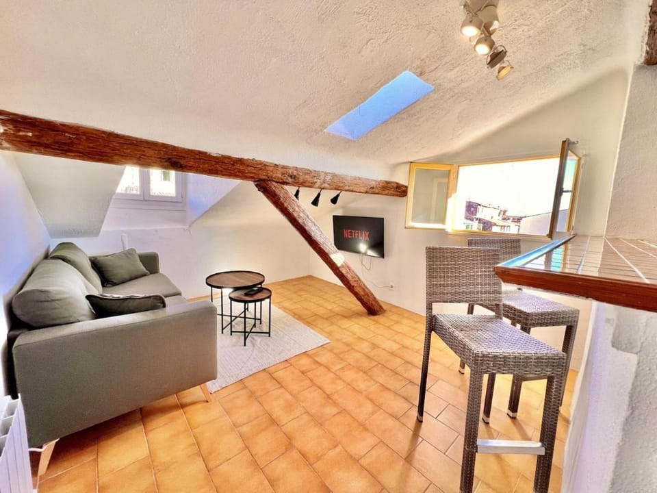 Old Town Rossetti Gem, Rooftop ,Waterfall view Apartment in Nice