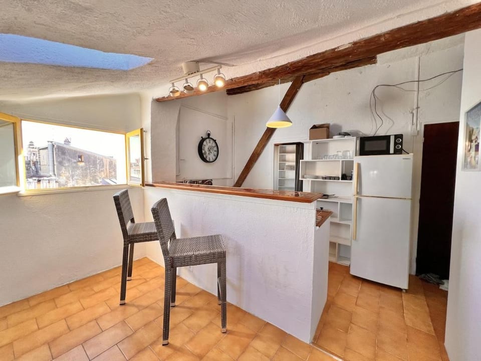 Old Town Rossetti Gem, Rooftop ,Waterfall view Apartment in Nice