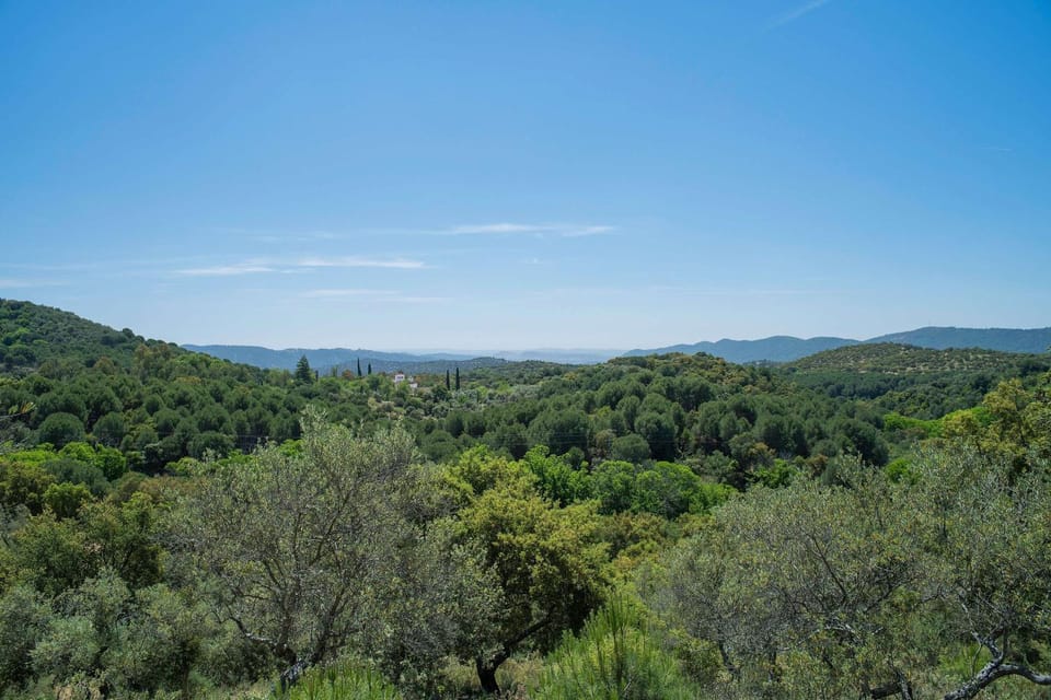 Private Andalusian Estate for Groups & Retreats Villa in Sierra Norte de Sevilla