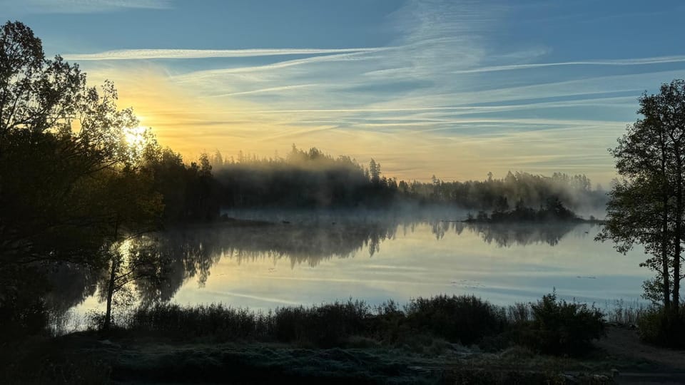 Lake view