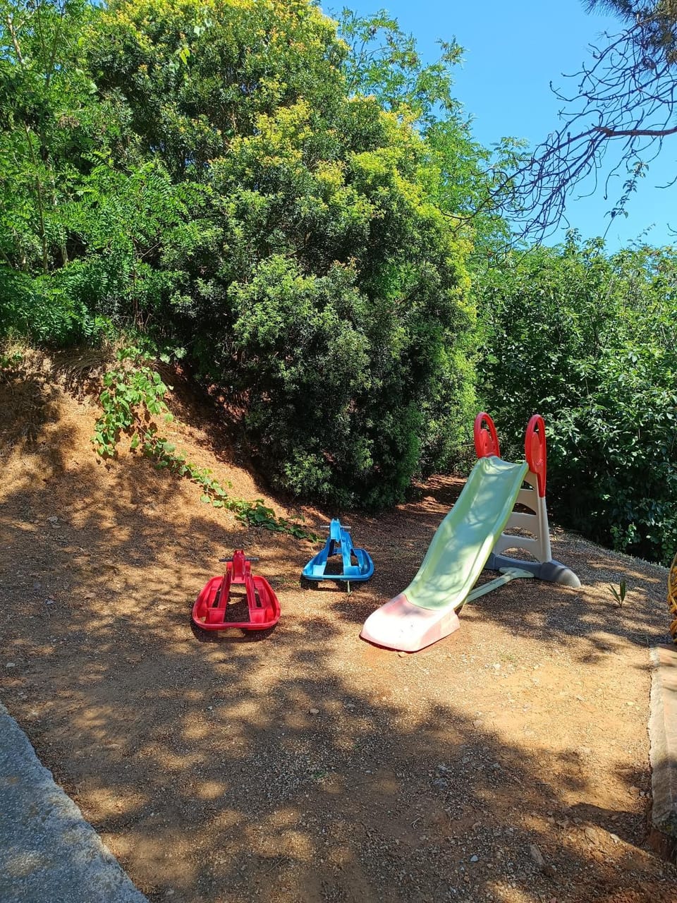 Villa Sandra Apartment in Tuscany