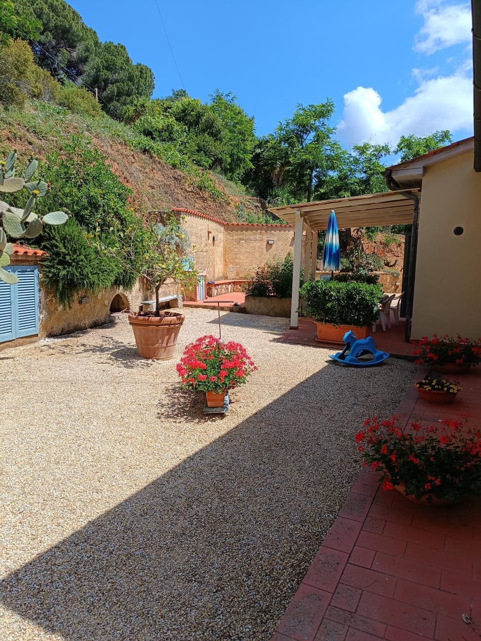 Villa Sandra Apartment in Tuscany