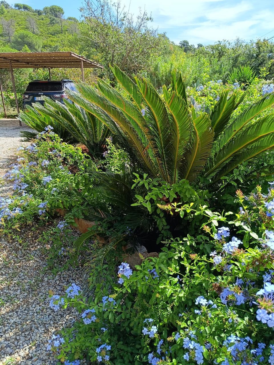 Villa Sandra Apartment in Tuscany
