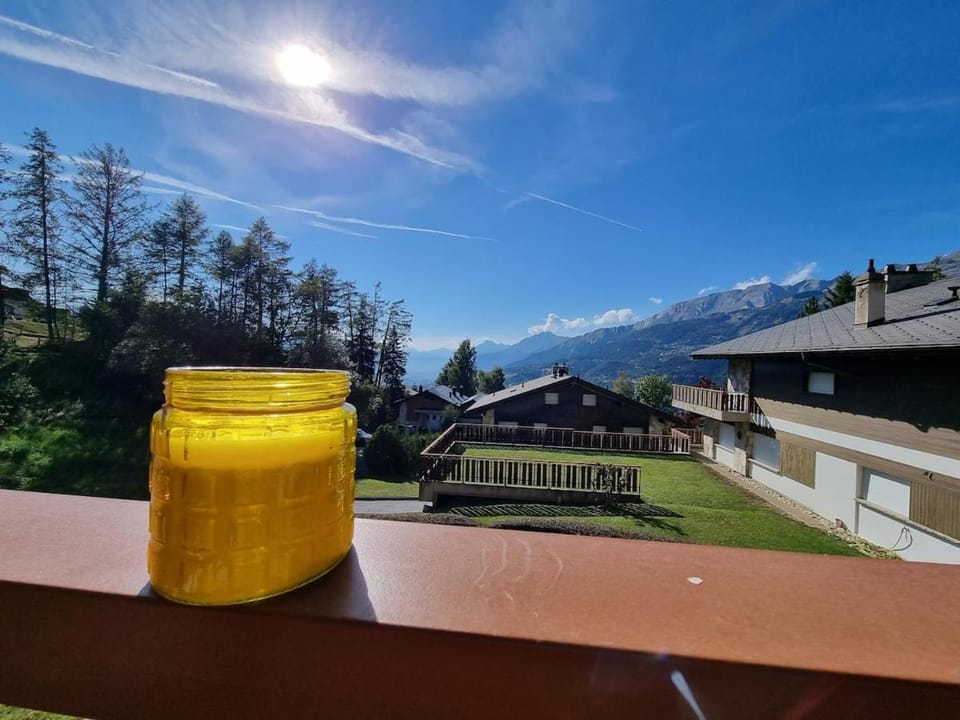 Crans-Montana Lovely appartement private parking Apartment in Sierre