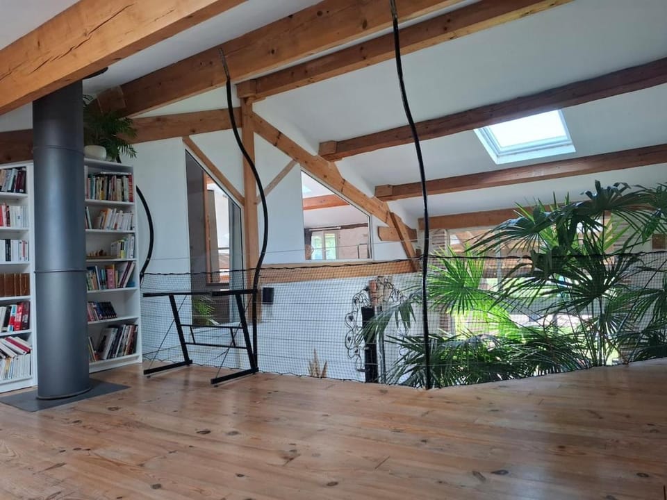 Ferme rénovée en loft à 20mn de Toulouse 15 pers House in Occitanie