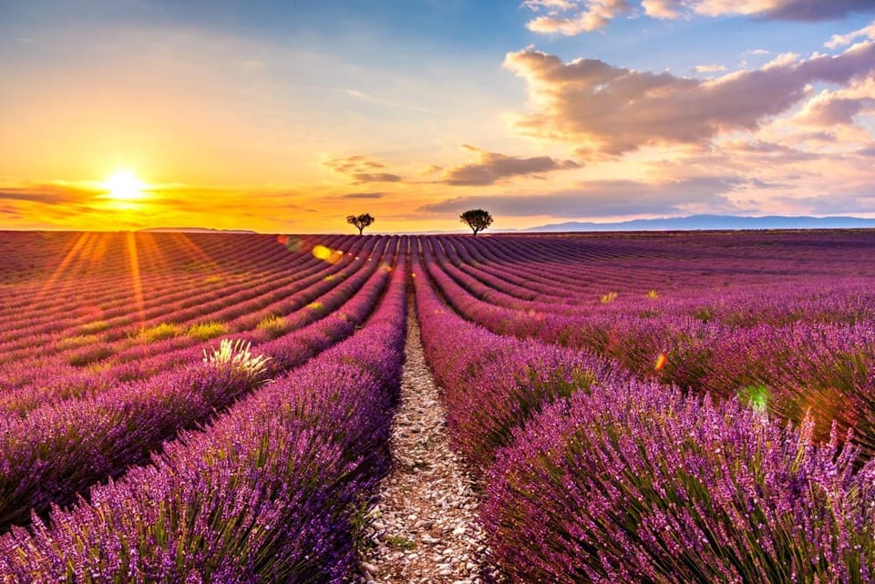 Maison cœur Valensole House in Valensole