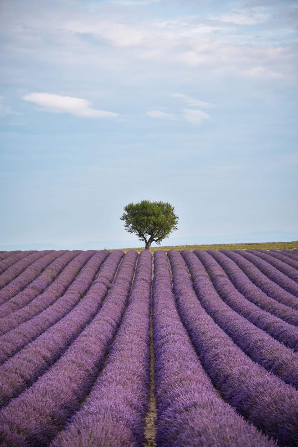 Maison cœur Valensole House in Valensole