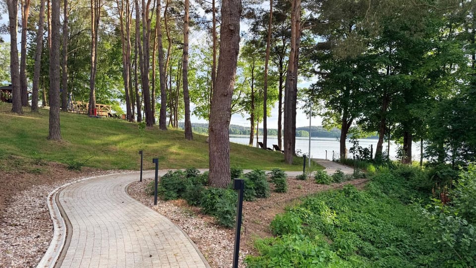 Lake view
