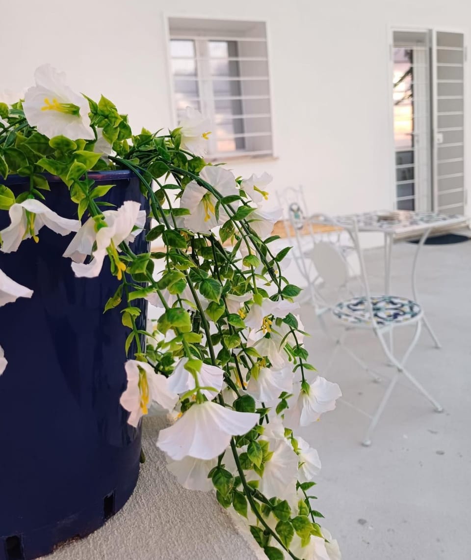 Oikos Terrasini House in Sicily