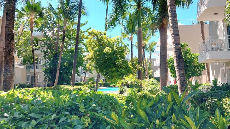 Property building, Garden, Garden, Garden view, Pool view, Swimming pool, Swimming pool