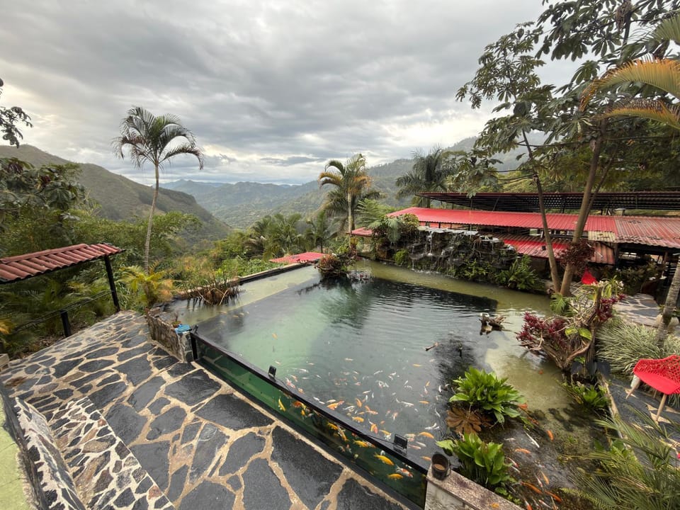 Spring, Day, Natural landscape, Garden, Garden view, Mountain view, Pool view, Swimming pool