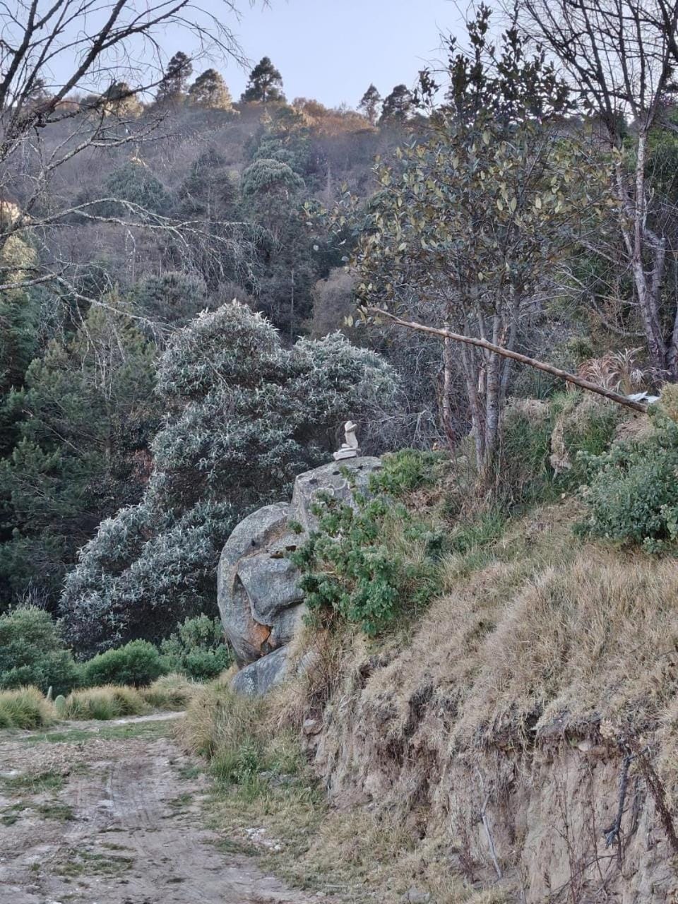 Hiking