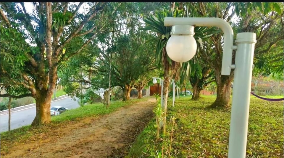 Day, Natural landscape, Garden view