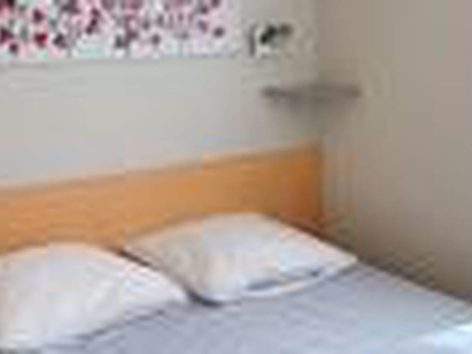 Mobil-home accueillant animaux - 4 pers. - API-1-52-2747 Campground/ 
RV Resort in Occitanie