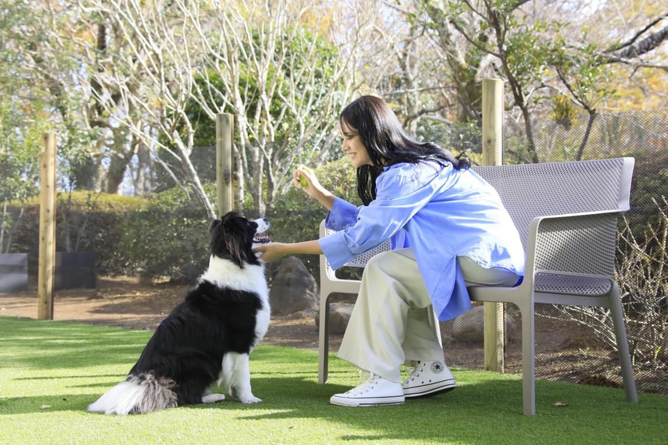 ゆるり熱海withDOGS Hotel in Shizuoka Prefecture