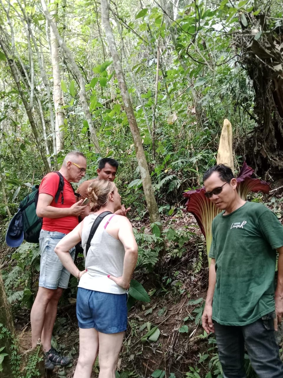 Jungle House And Treking Family Only Treking Booking With Us Vacation rental in Indonesia