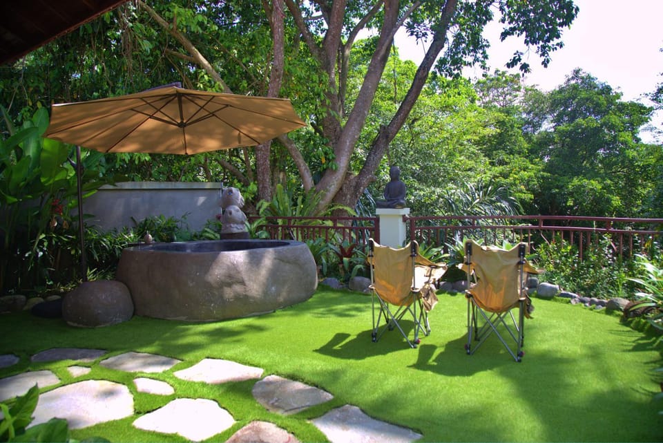 Day, Garden, Garden view