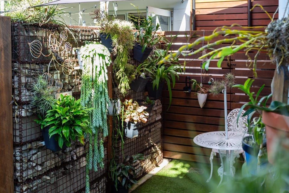 Studio 55 Apartment in Sunshine Coast