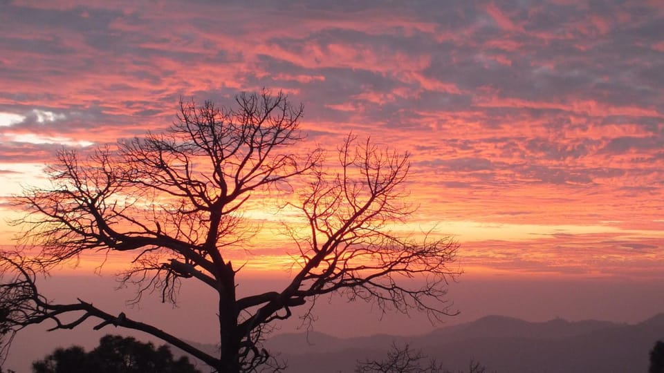 ShreeValleyViewCampPapri Luxury tent in Uttarakhand