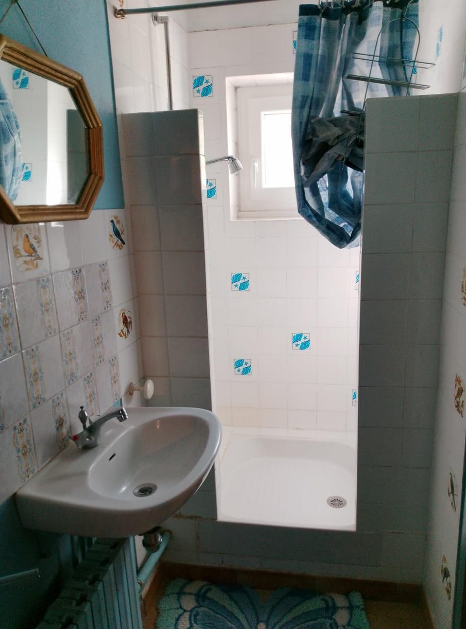 Shower, Property building