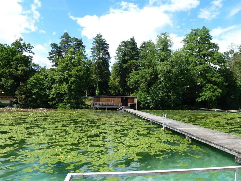 Ferienhaus Leitgeb House in Carinthia, Austria