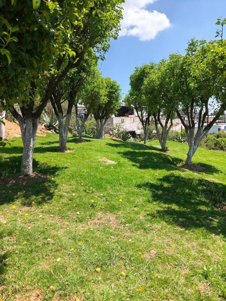 Cabañas Mira Real Campground/ 
RV Resort in Hidalgo, Mexico