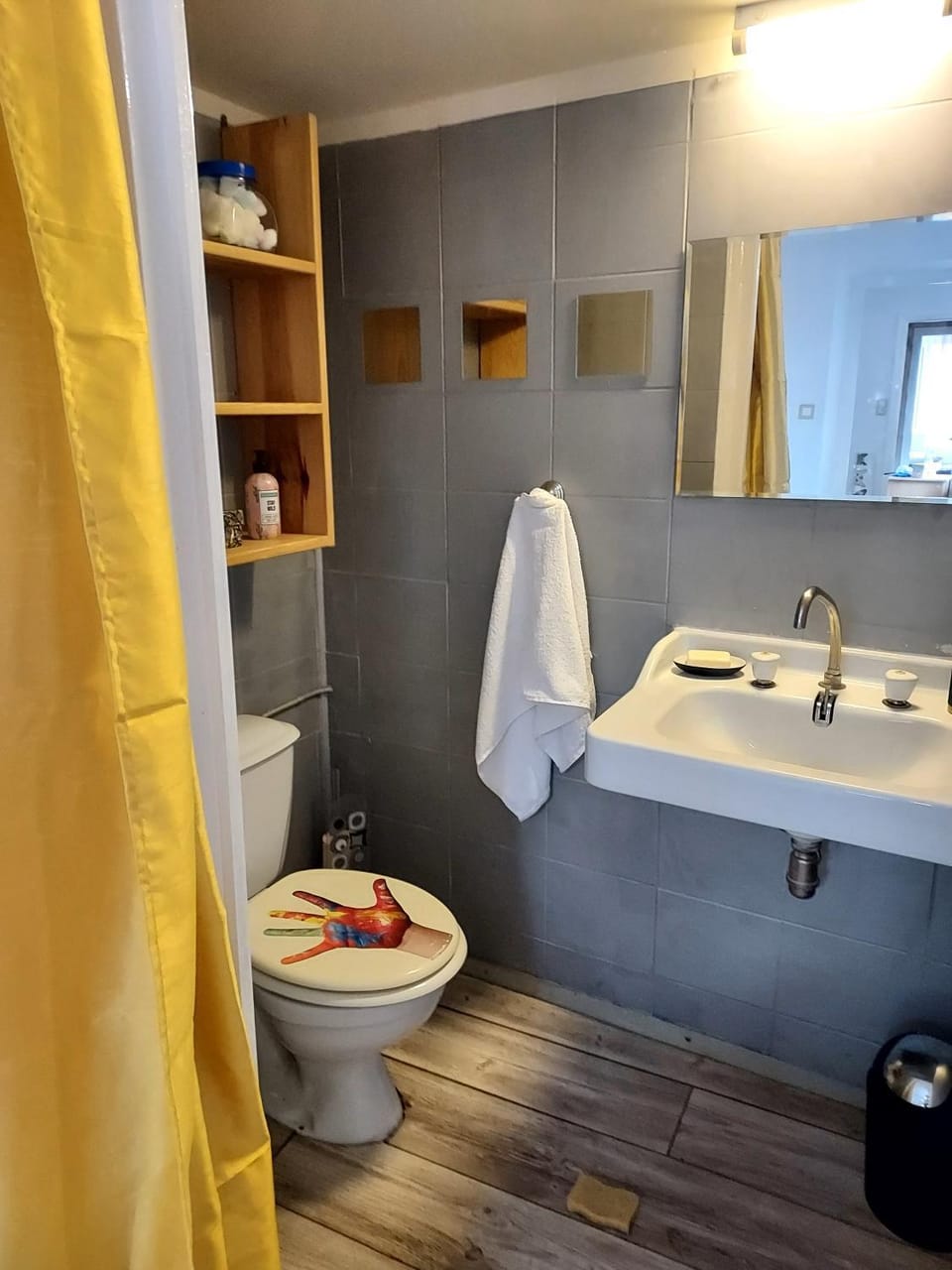 Toilet, Bathroom