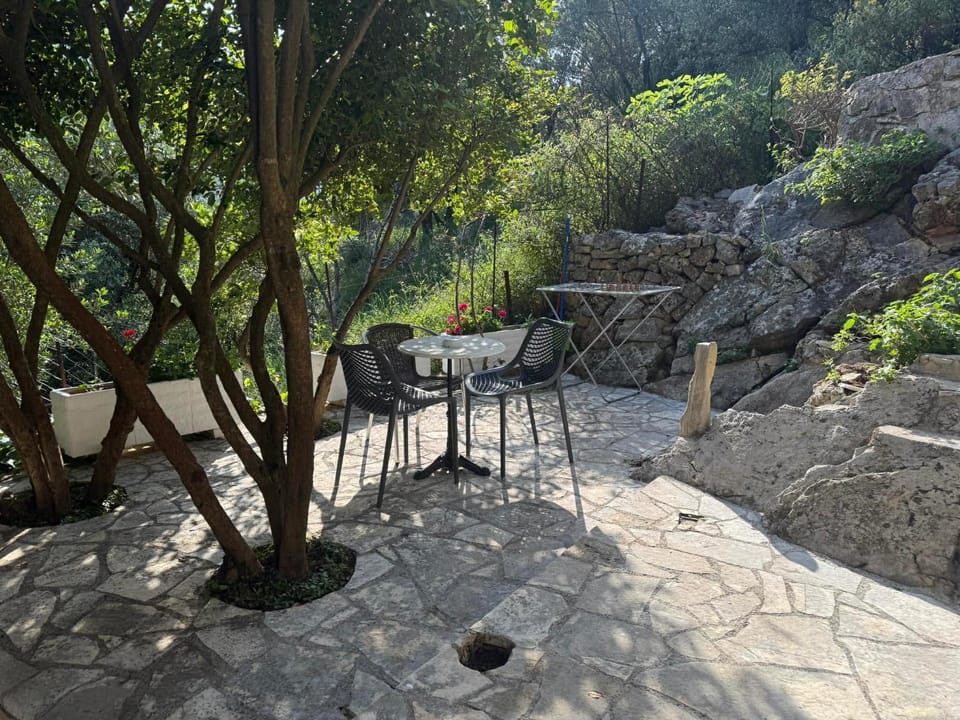 Garden, Garden view