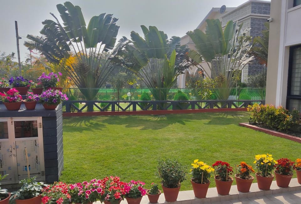 Garden